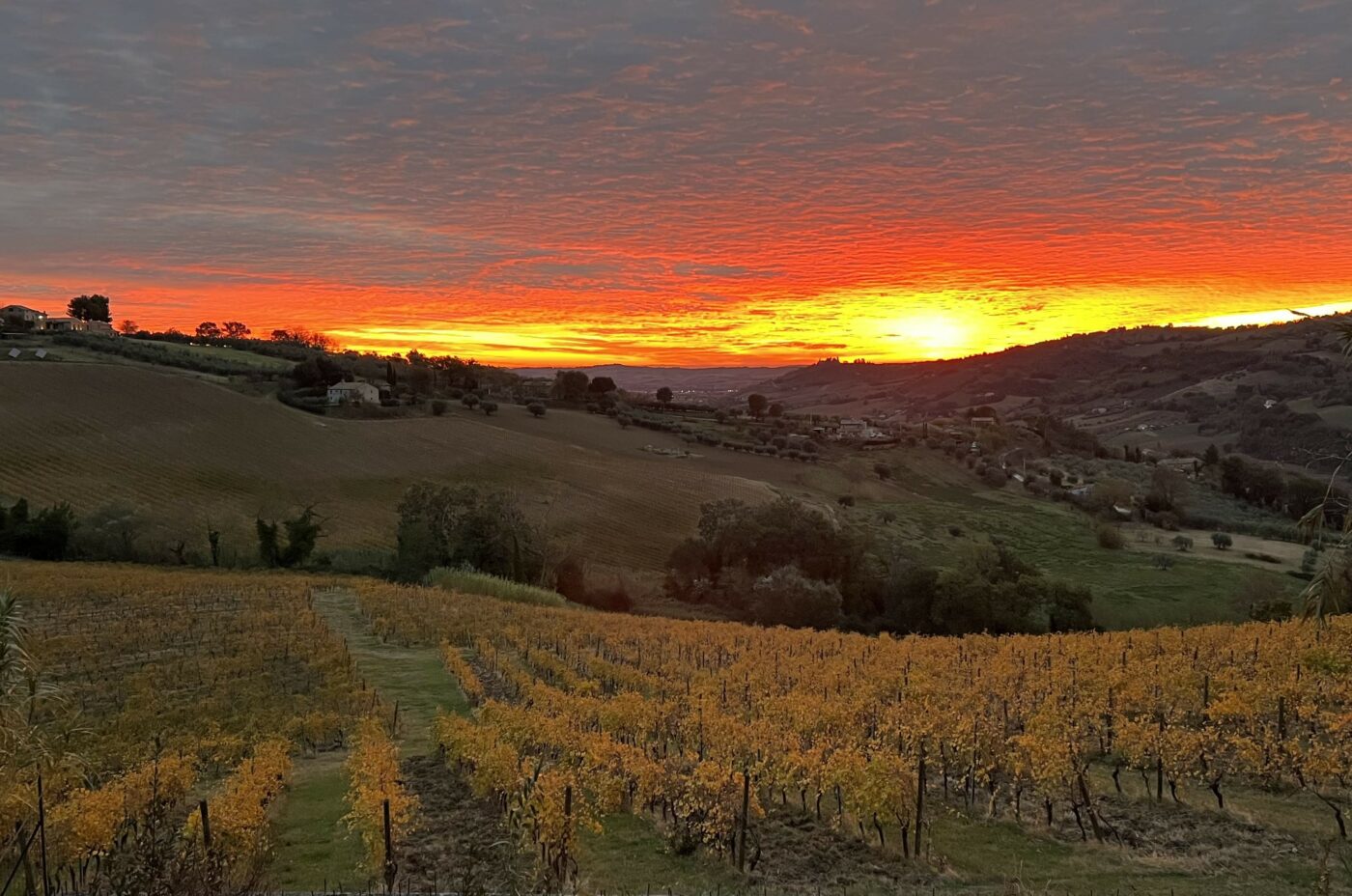 Bed and Breakfast Nel Vigneto